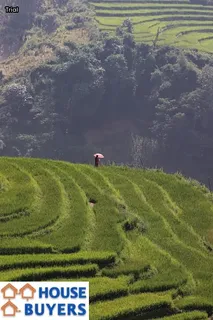 how to get rid of tenants without going to court