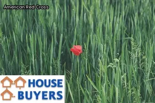 organizations that help after a house fire