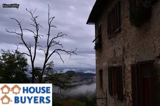 how to remove moisture from attic