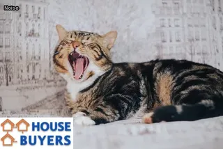 bad neighbors what to do legally