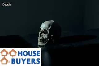 what does probate mean in real estate