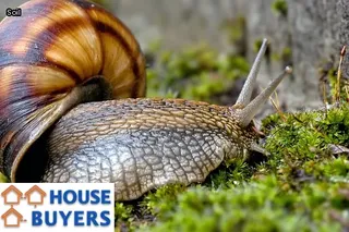 how to sell a house with foundation problems