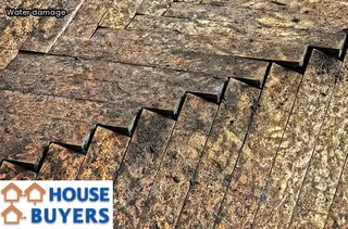 smoke damage cleanup cost