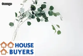 what is a sewer scope inspection