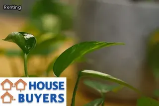 what taxes do you pay when you sell a house